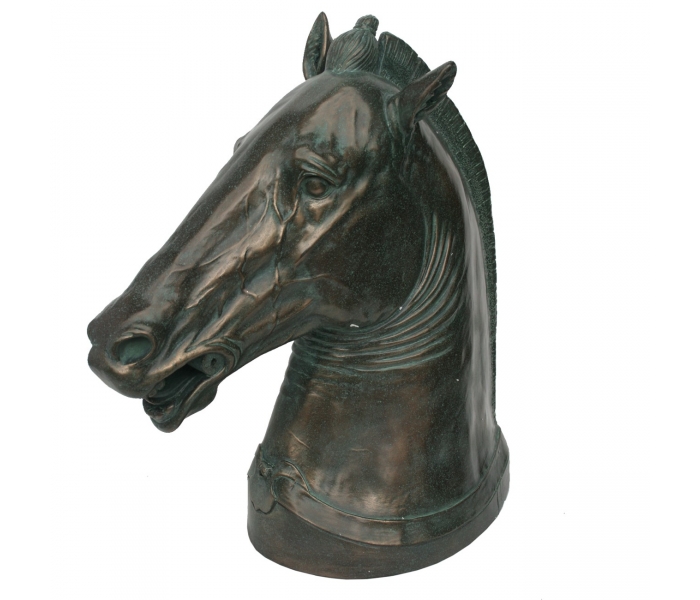 CABEZA DE CABALLO