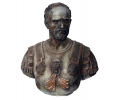 Busto de bronce