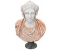 Carrara white and Rosetta pink marble classic woman bust