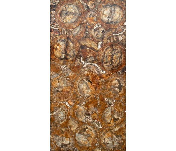 Fossilized tree trunk mosaic table top