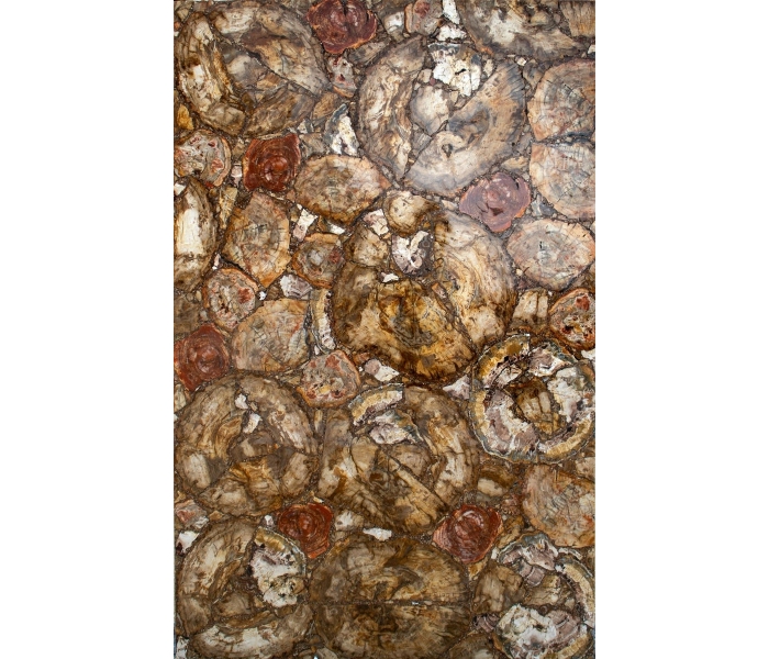 Fossilized tree trunk mosaic table top