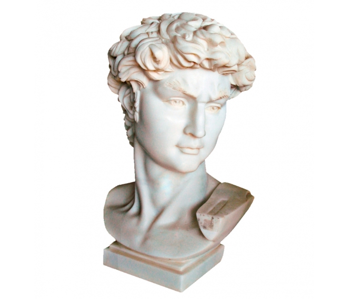 Michelangelo's David Carrara white...