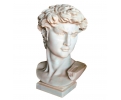 Michelangelo's David Carrara white marble bust