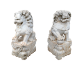 Pair of Chinese guardian foo lion dogs marble statues