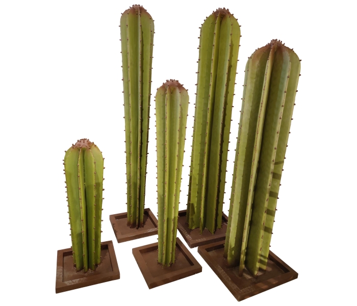 Set of 5 Spanish Hand Painted Cactus...