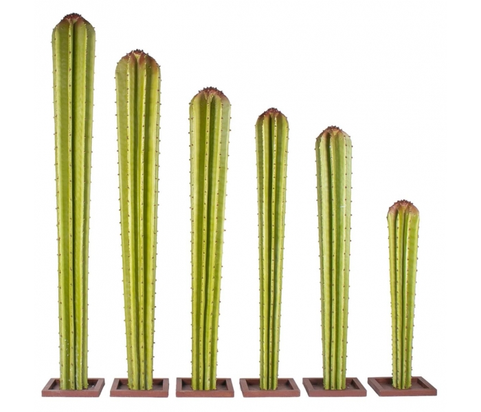 Set of Six Spanish Painted Iron...