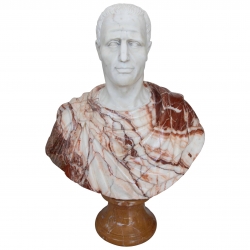 Classical Roman Bust in...