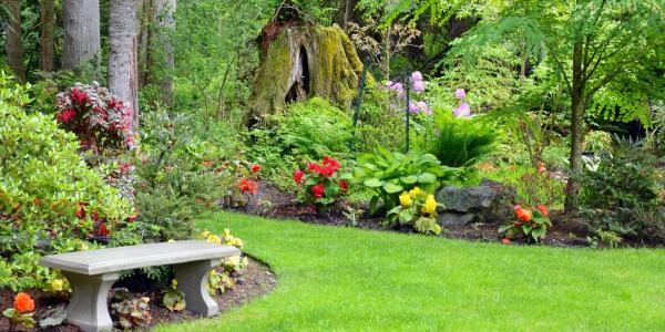 ¿Por qué el jardín puede ser el espacio más importante de tu hogar? 