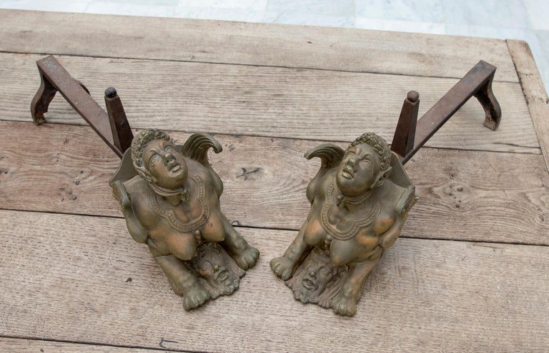Pareja francesa del siglo XIX de morillos de bronce de personajes alados